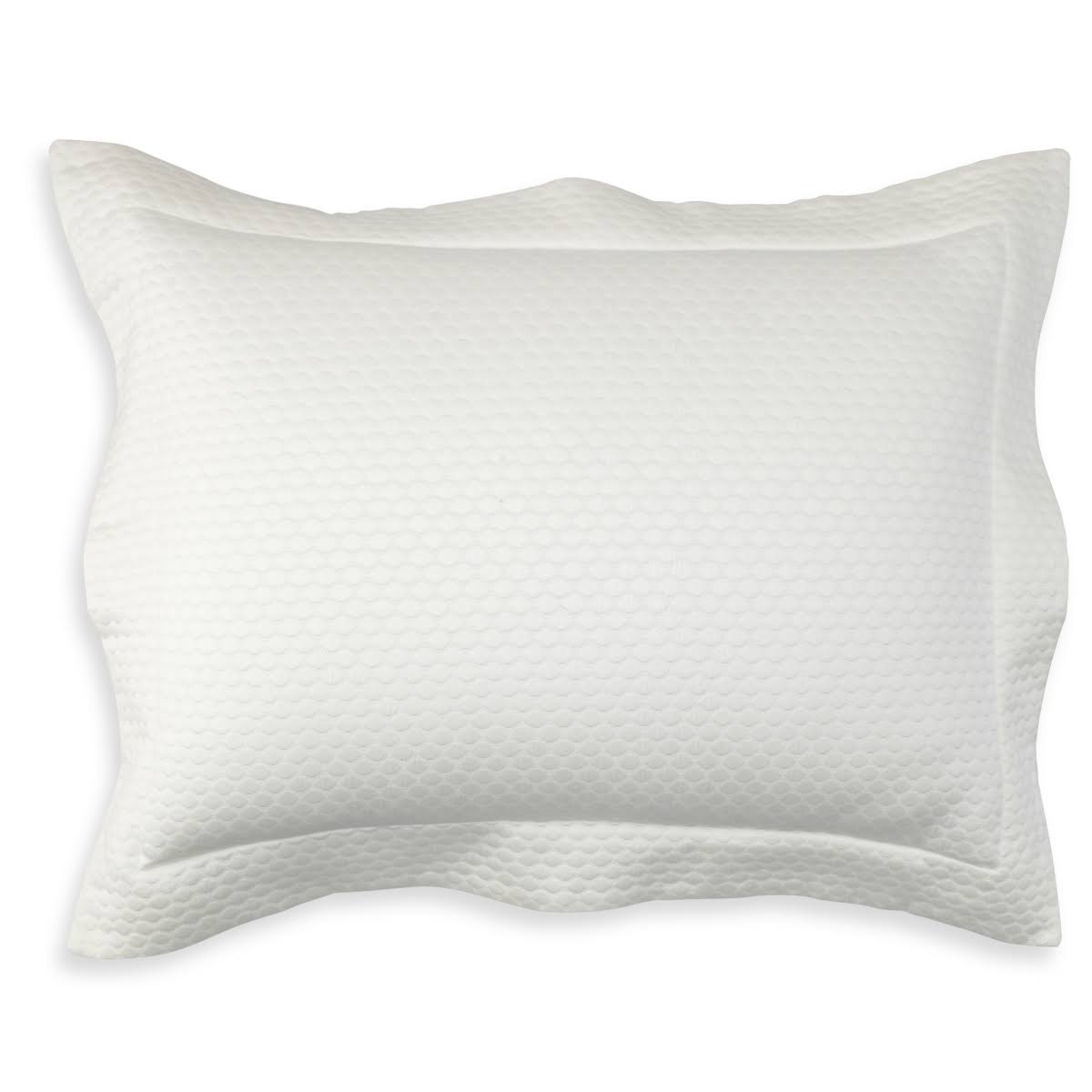 Ivory Standard Sham C1131