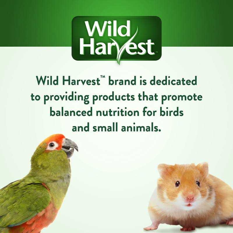 Strawberry Hut Pet Supplies G60105