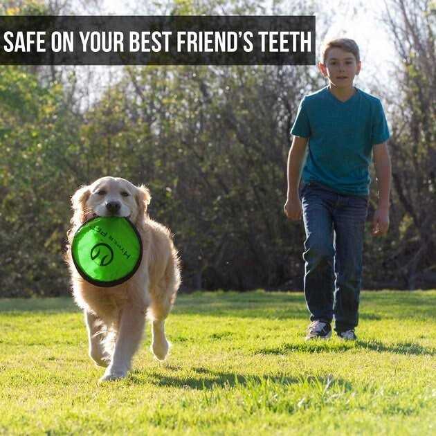 Pet Supplies Y9738