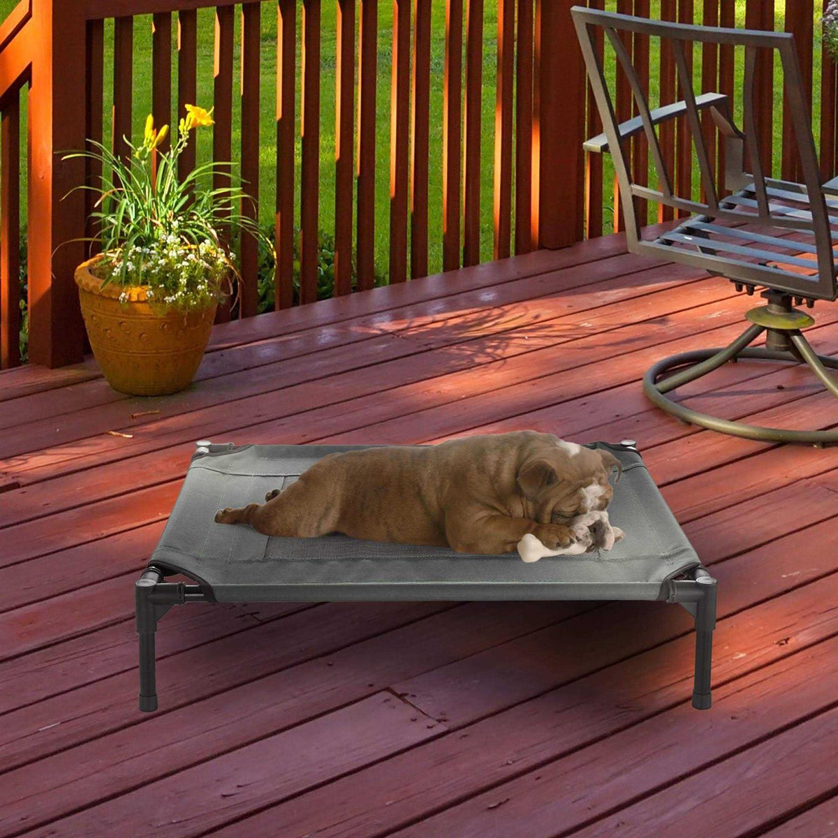 Cot-Style Elevated Pet Bed M882