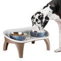 Elevated Pet Feeding Tray with Splash Guard Y596