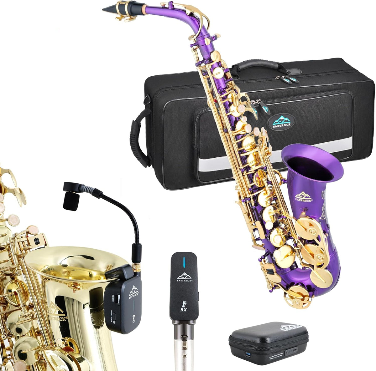 Purple/Golden Alto Saxophone R959179