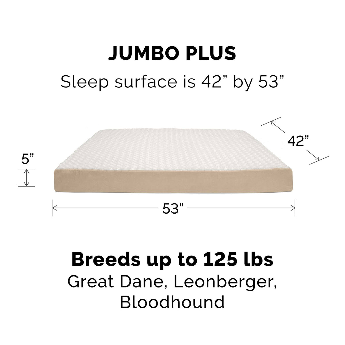 Memory Foam Plush Pet Bed L87717