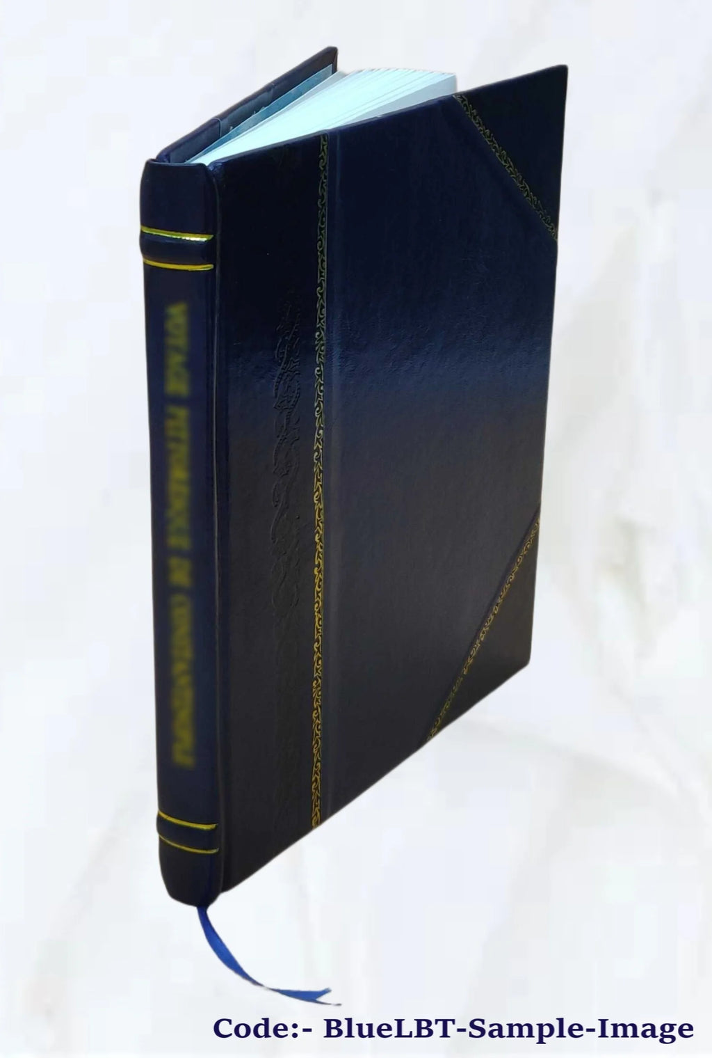 Leather Bound Book X967185