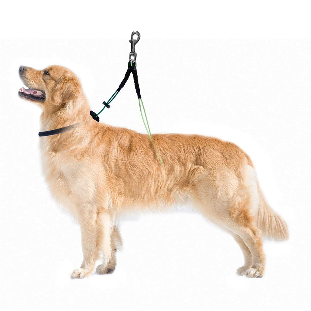 Dog Grooming Restraint L1124