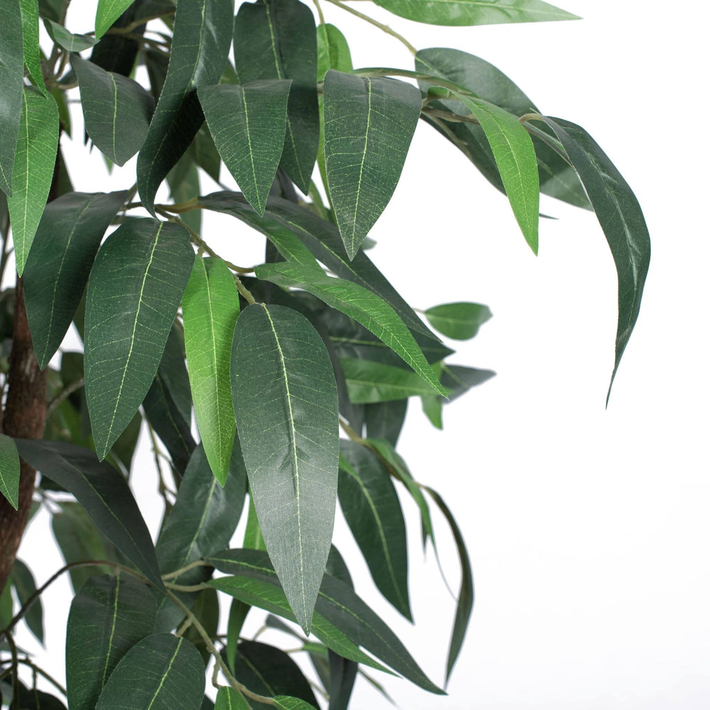 Green Mango Executive D1627