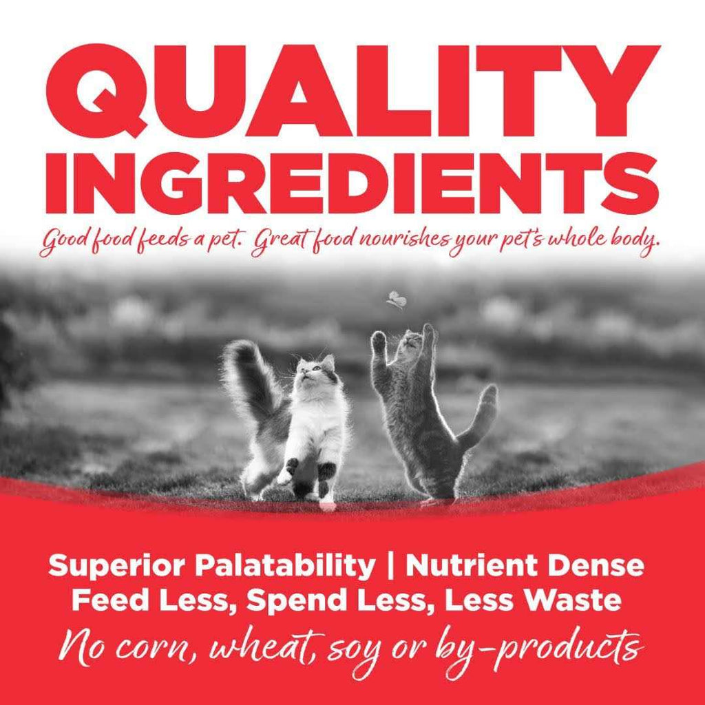 Grain Free Cat Food G9815