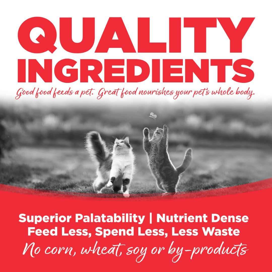 Grain Free Cat Food G9815