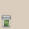 Exterior Paint (5-Gallon) S368570