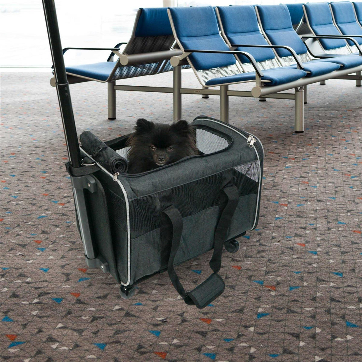 Rolling Pet Carrier with Wheels P438511