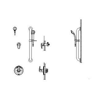 Chrome Dual Shower Trim, Diverter, Hand Shower, and Grab Bar S955