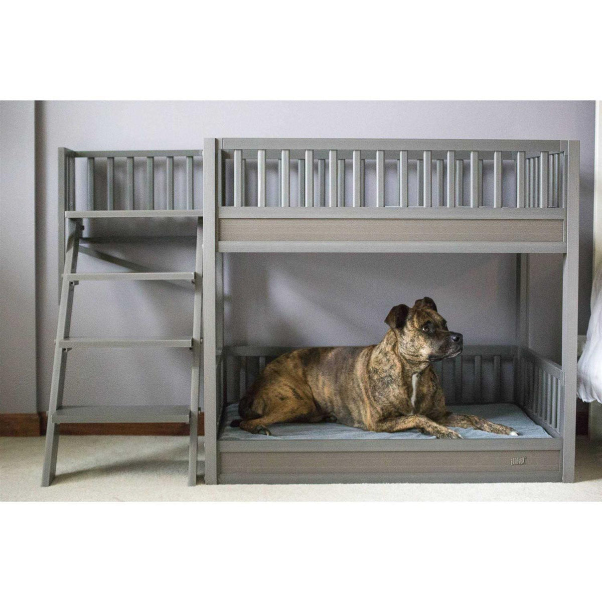 Dog Bunk Bed with Removable Cushions M5940