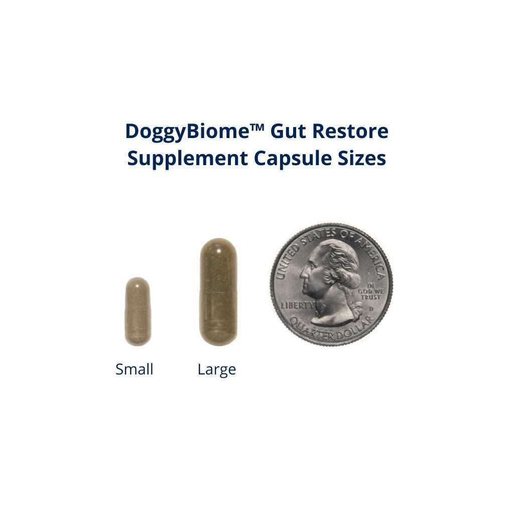 30 Capsules Supplement Y356926