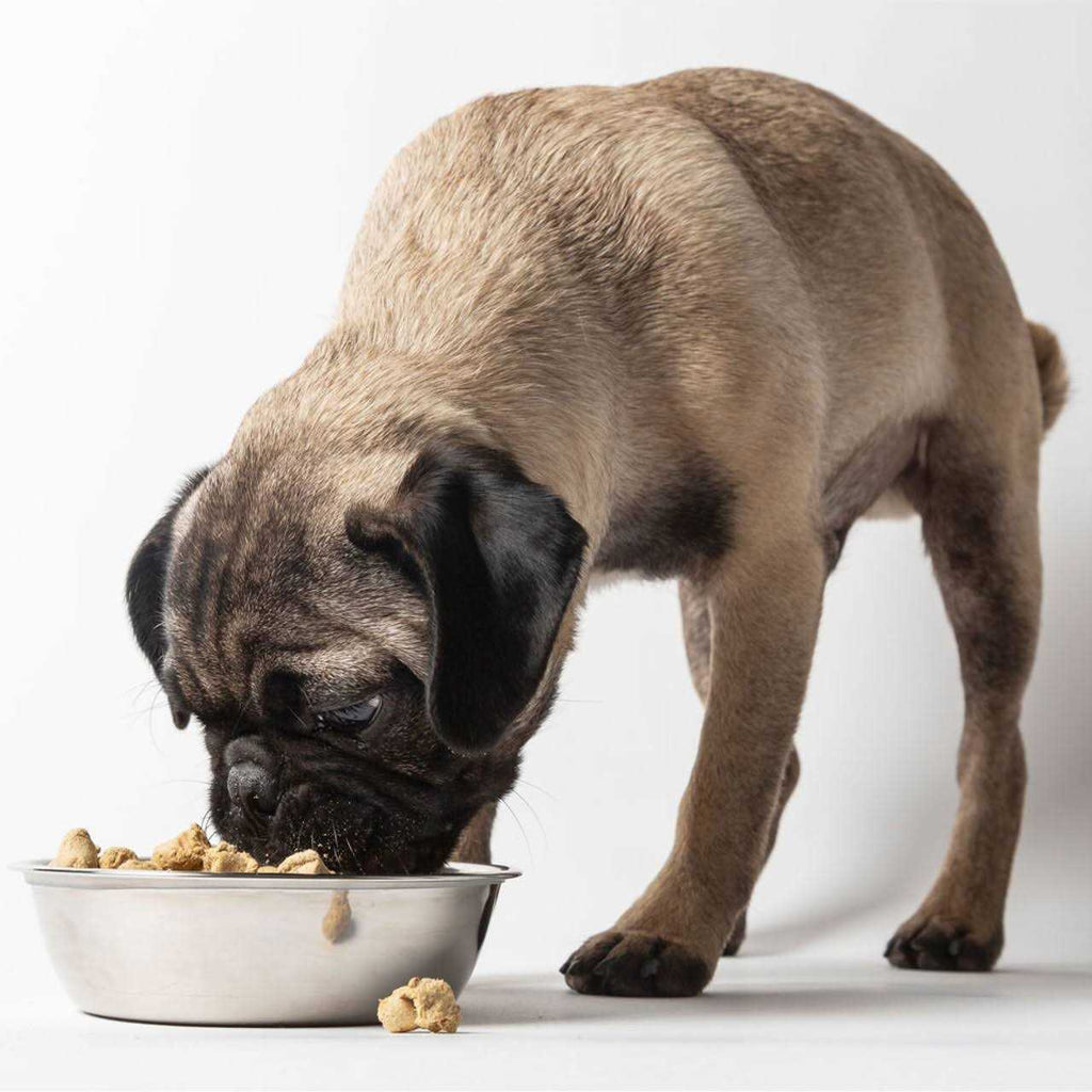 Freeze Dried Raw Dog Food I348