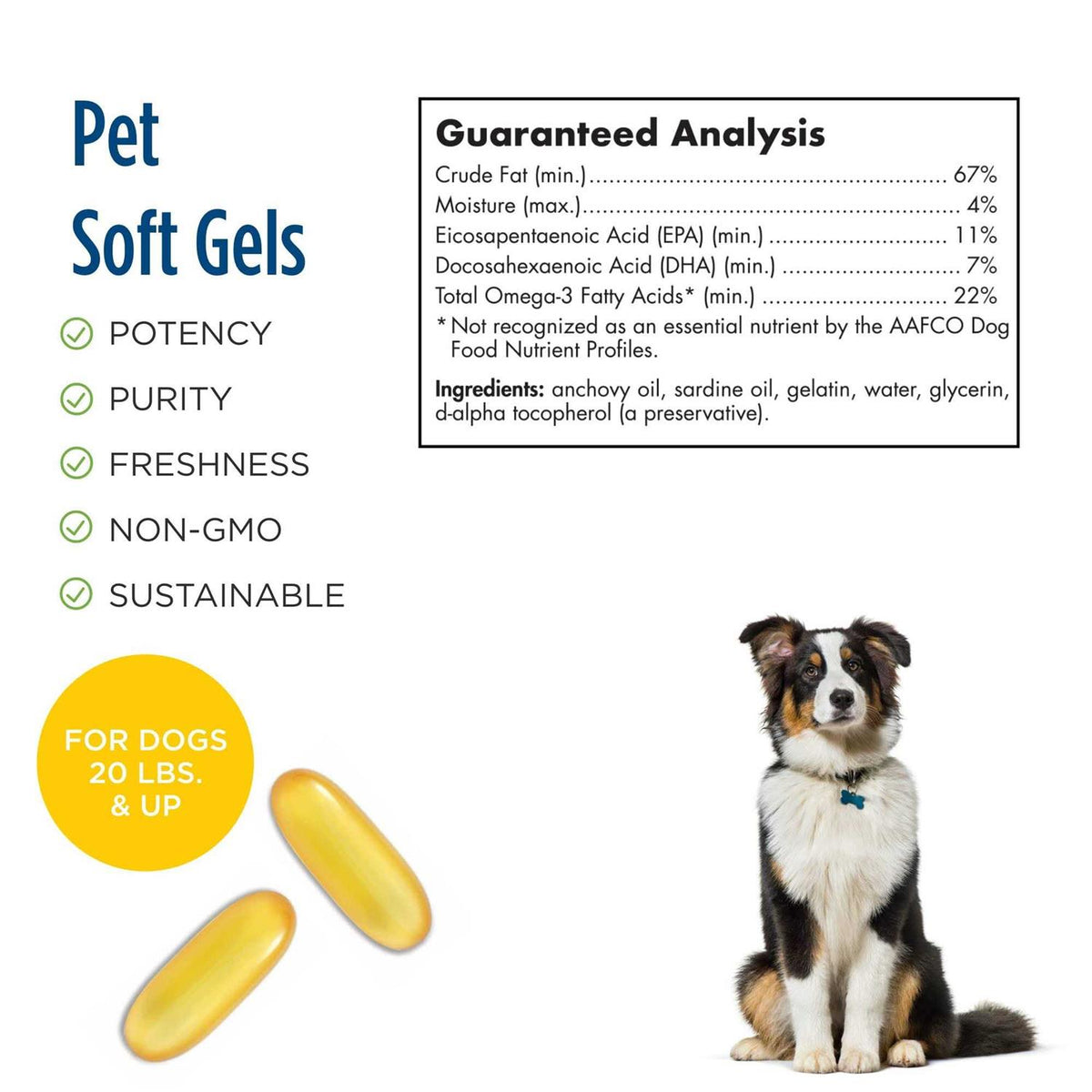 Omega 3 Pet Z71781