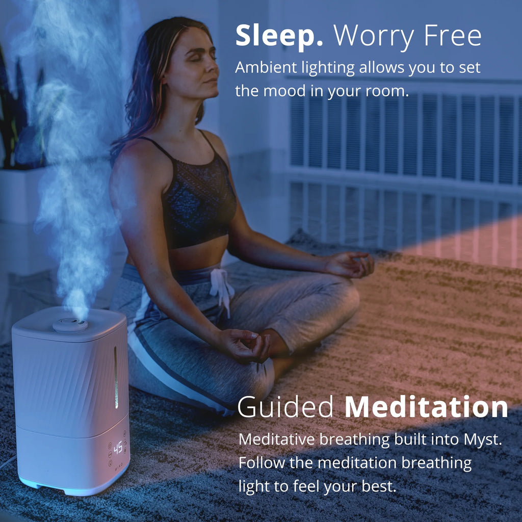Ultrasonic Cool and Warm Mist Humidifier with Water Filter U2624