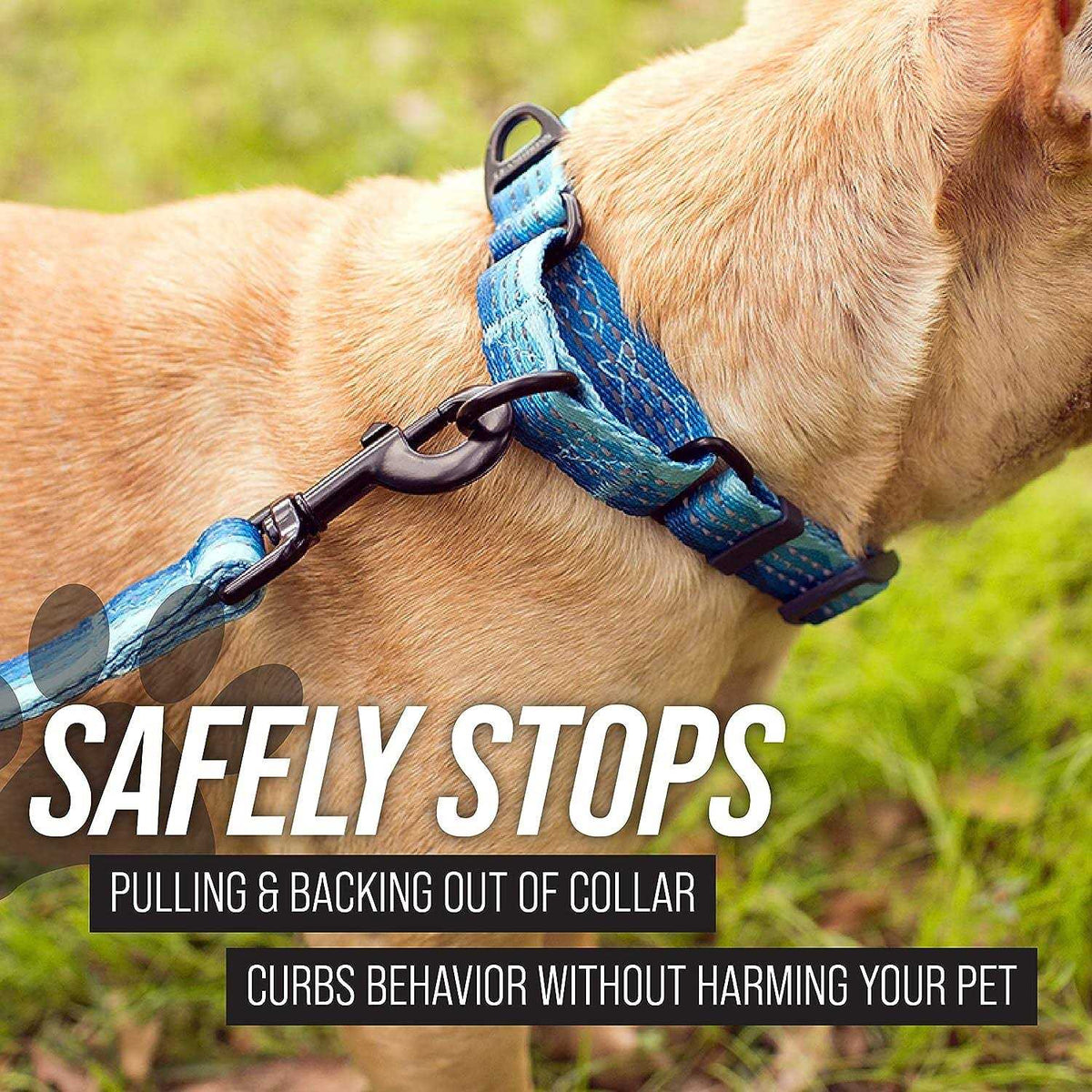 Patterned Fabric Martingale Dog Collar R552332