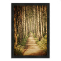 Silky Black Framed Photograph Print X1144