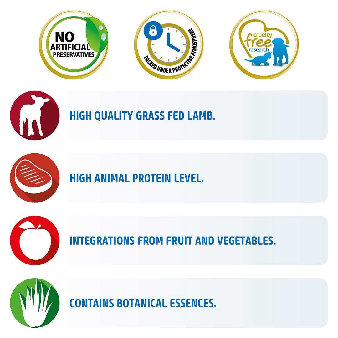 Grain Free Lamb & Blueberry Dry Cat Food L253
