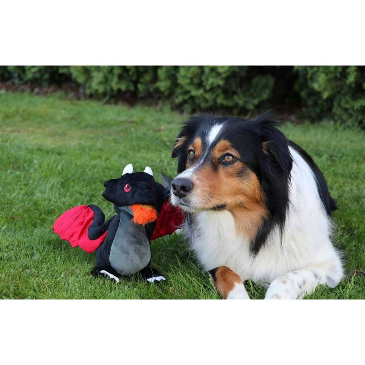 Mythical Dragon Dog Toy D835