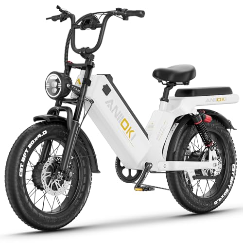 48/52V 60Ah Electric Commuting Bike J17061