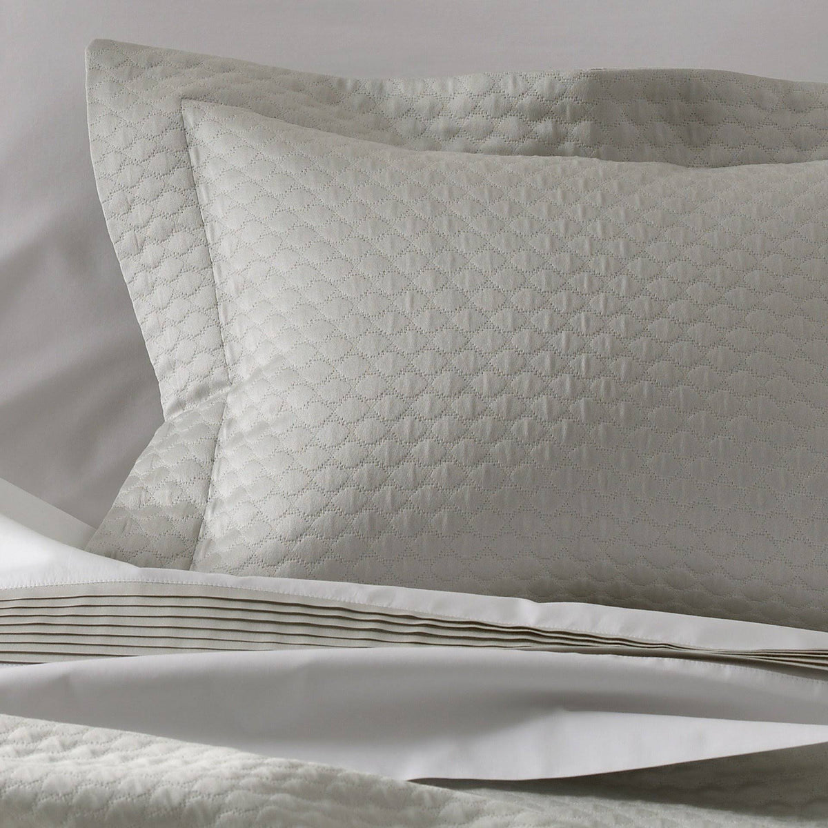 Ivory Standard Sham C1131