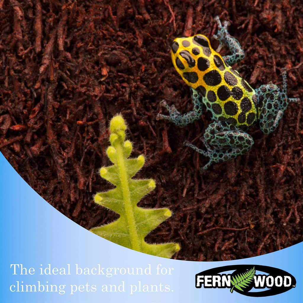 Fern Wood Tropical Background Panel Twin Pack A30207