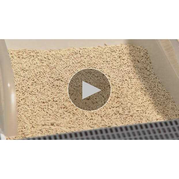 Tofu Cat Litter Clumping E5798
