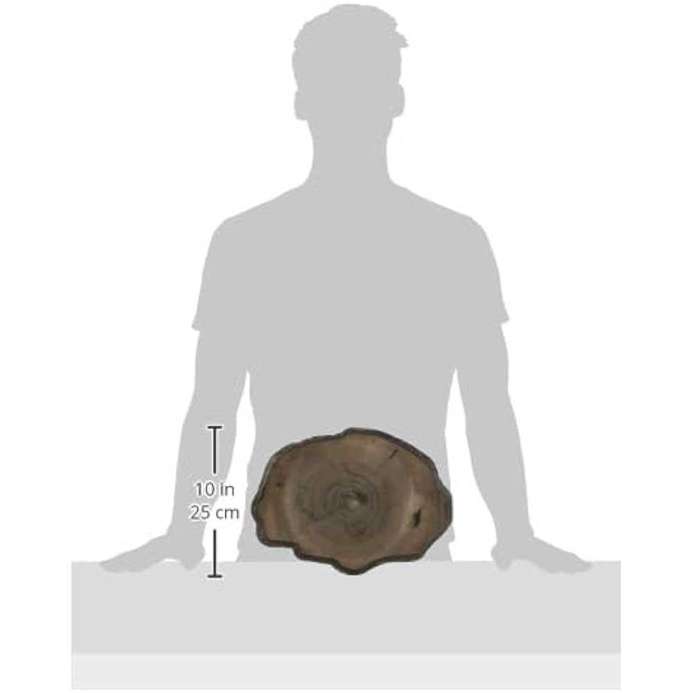 Reptile Food Dish H63681