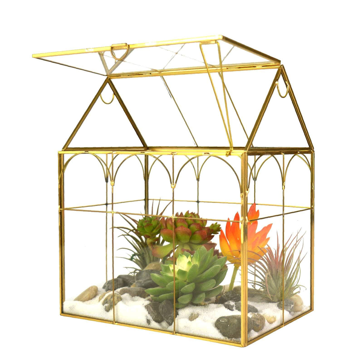 Glass Terrarium with Lid C621972