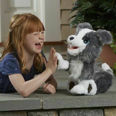 Ricky The Trick-Lovin Pup U3254