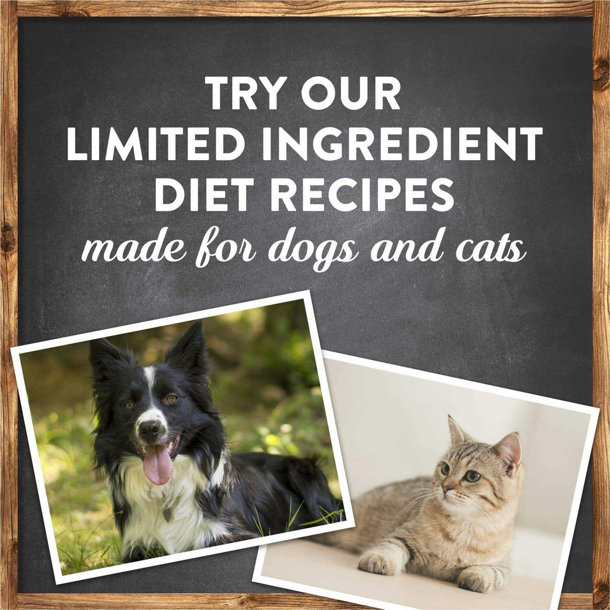 Grain Free Salmon Sweet Potato Dry Dog Food S503744