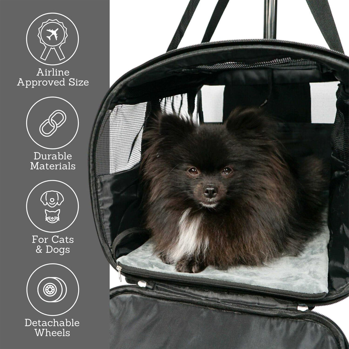 Rolling Pet Carrier with Wheels P438511