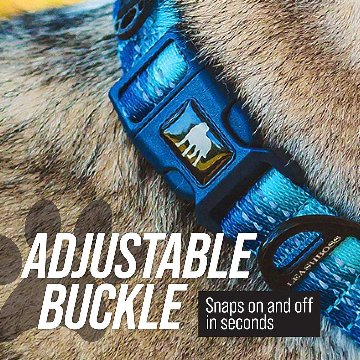 Patterned Fabric Martingale Dog Collar R552332