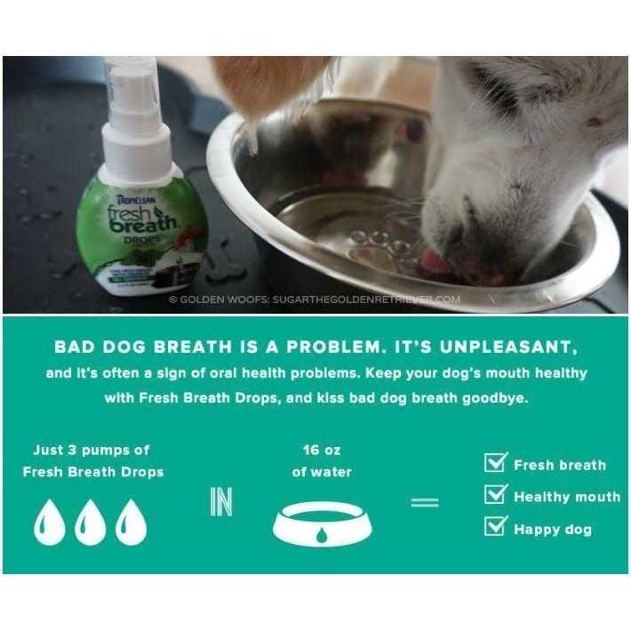 Fresh Breath Drops M34025