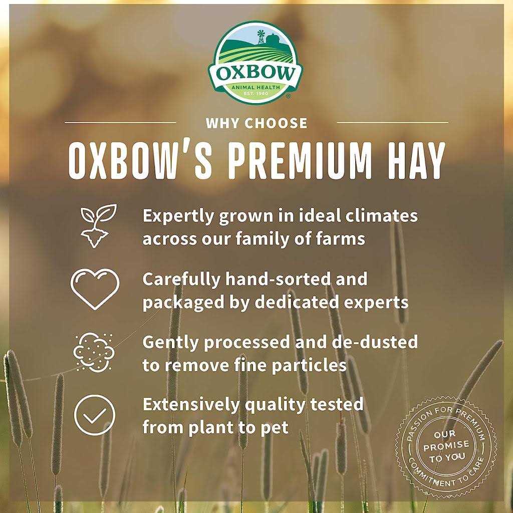 Alfalfa Hay Pet Supplies Q4695