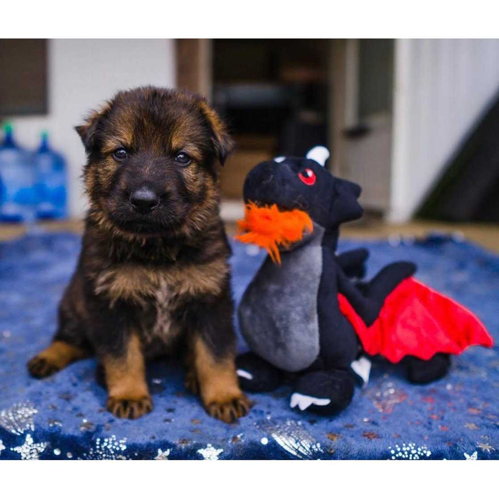 Mythical Dragon Dog Toy D835