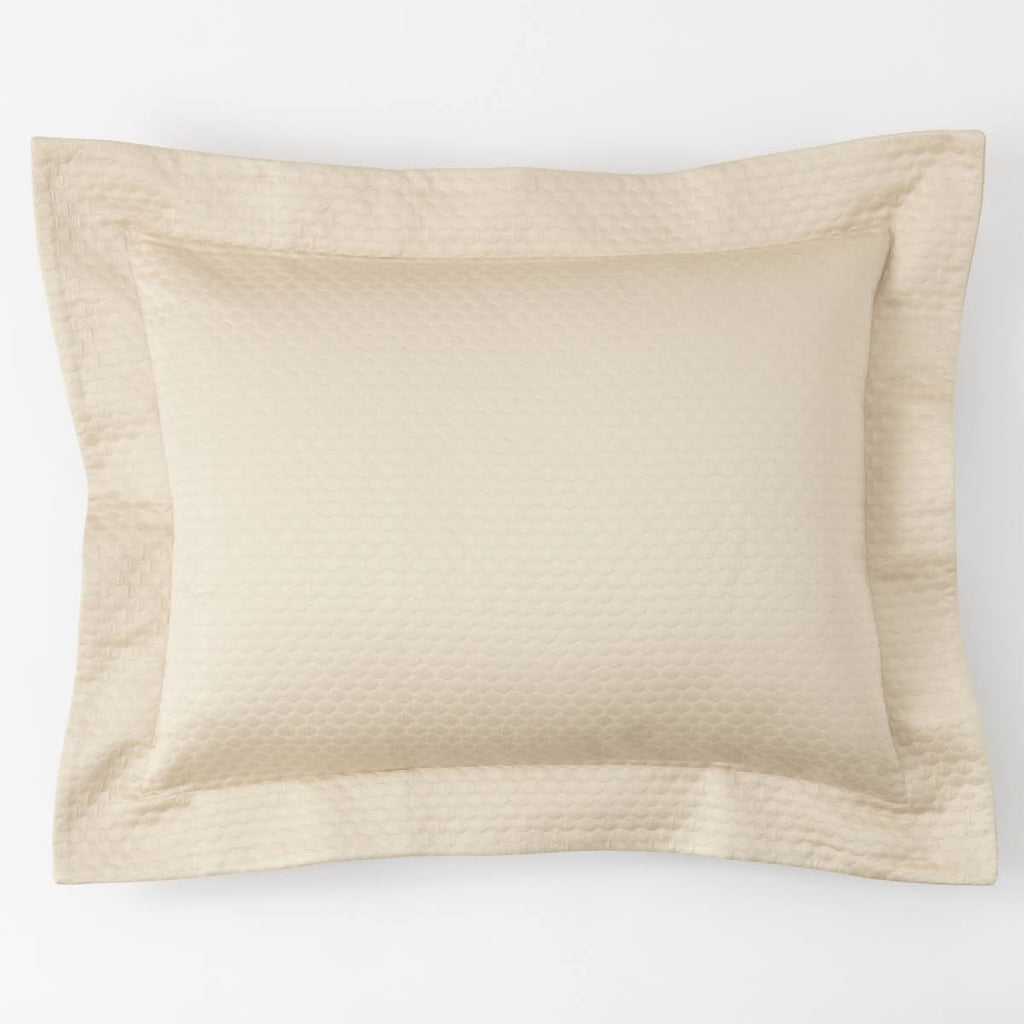 Ivory Standard Sham C1131