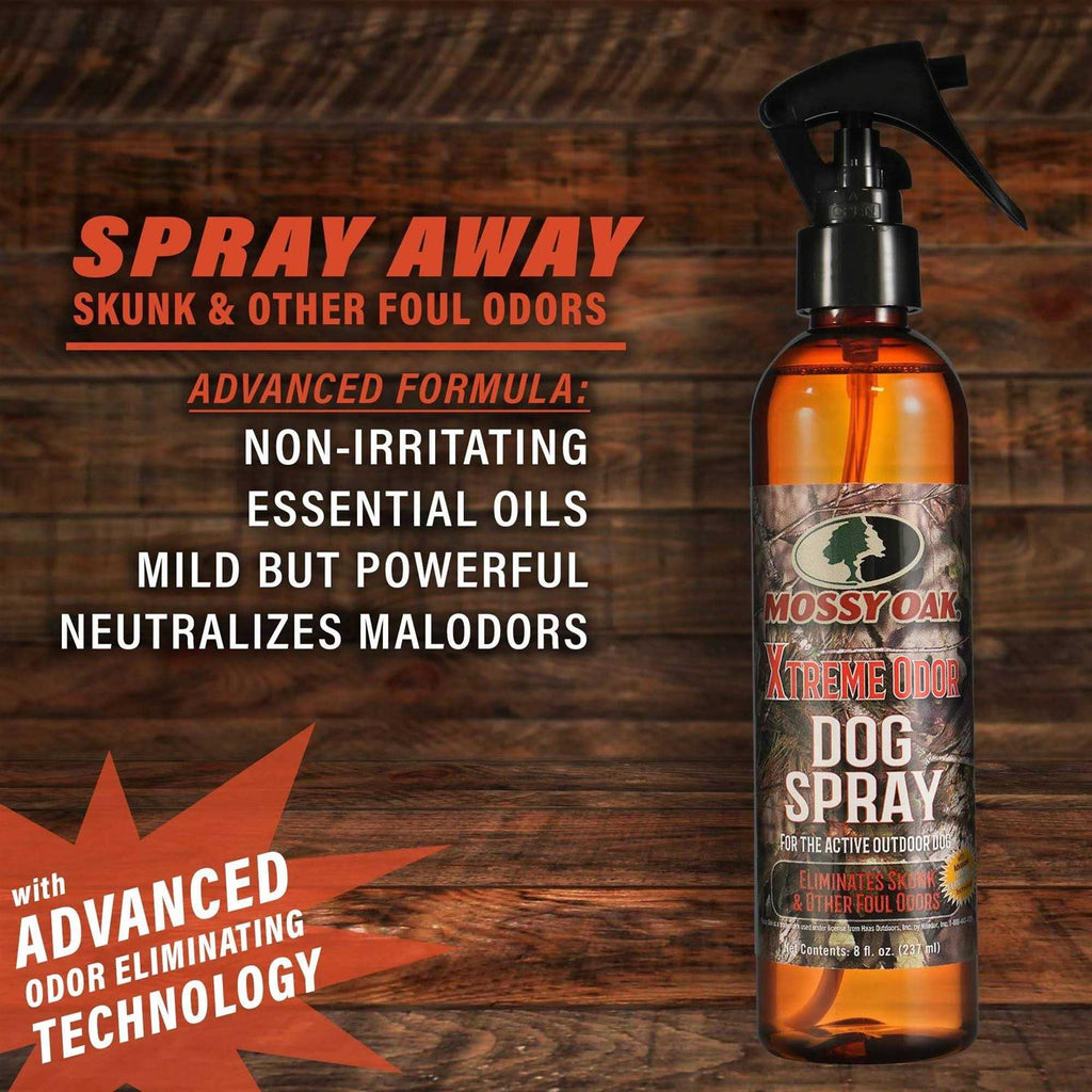 Odor Dog Spray T5919