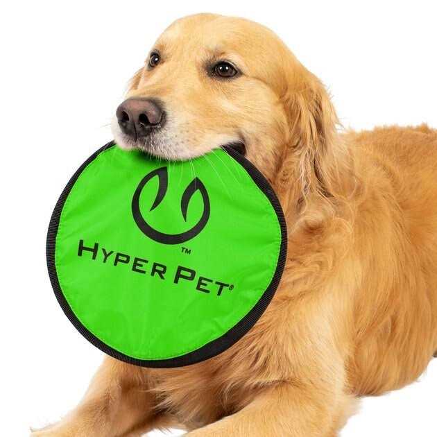 Pet Supplies Y9738