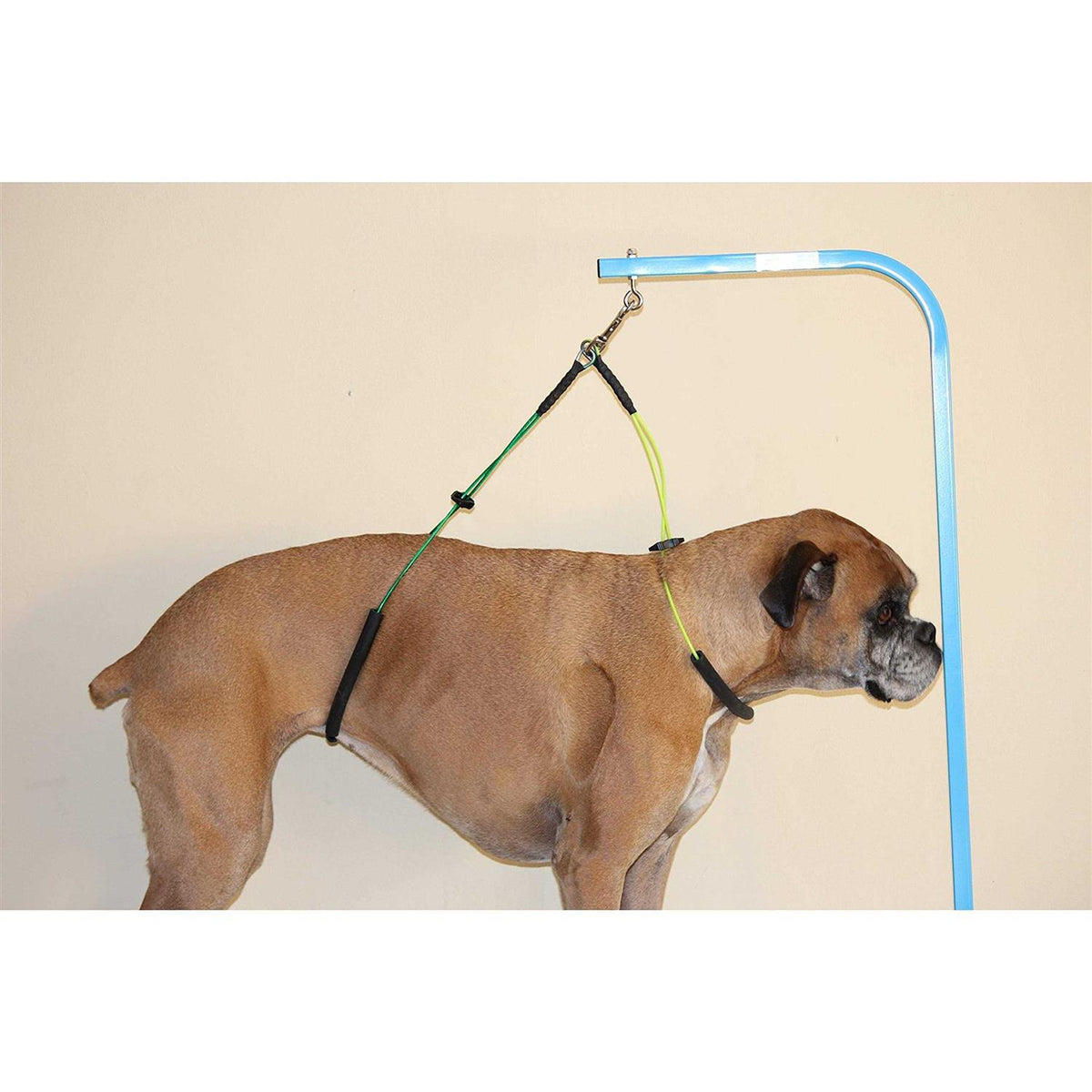 Dog Grooming Restraint L1124