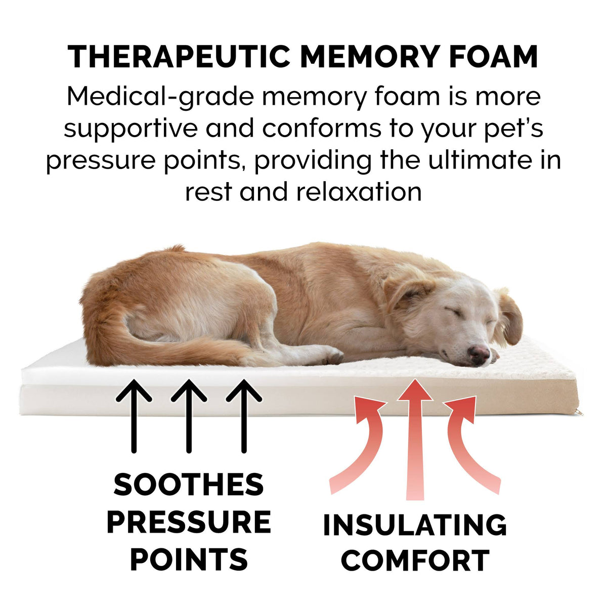 Memory Foam Plush Pet Bed L87717