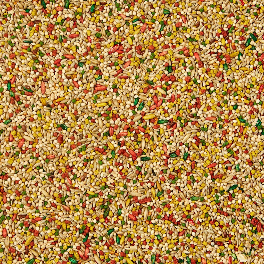 Parakeet Food W475