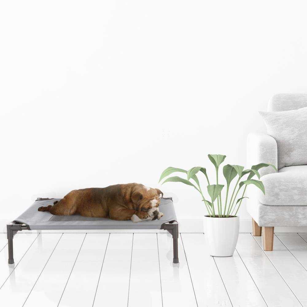 Cot-Style Elevated Pet Bed M882