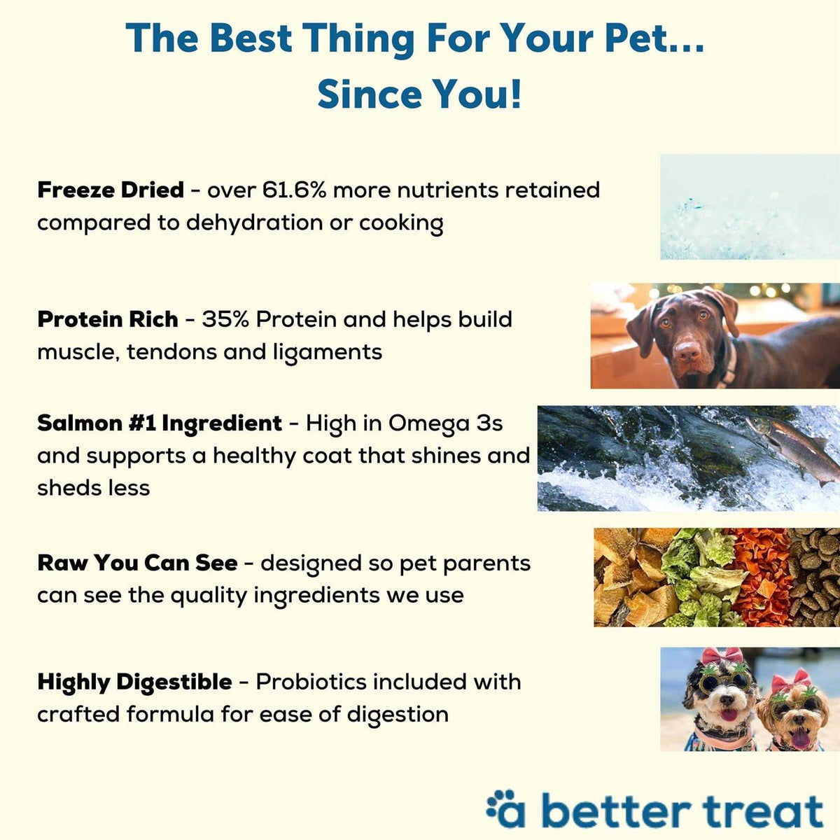 Salmon Raw Dog Food N7882