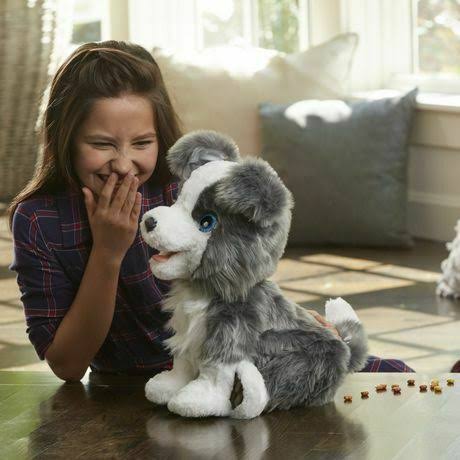 Ricky The Trick-Lovin Pup U3254