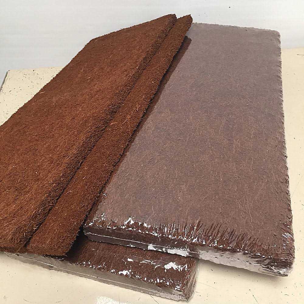 Fern Wood Tropical Background Panel Twin Pack A30207