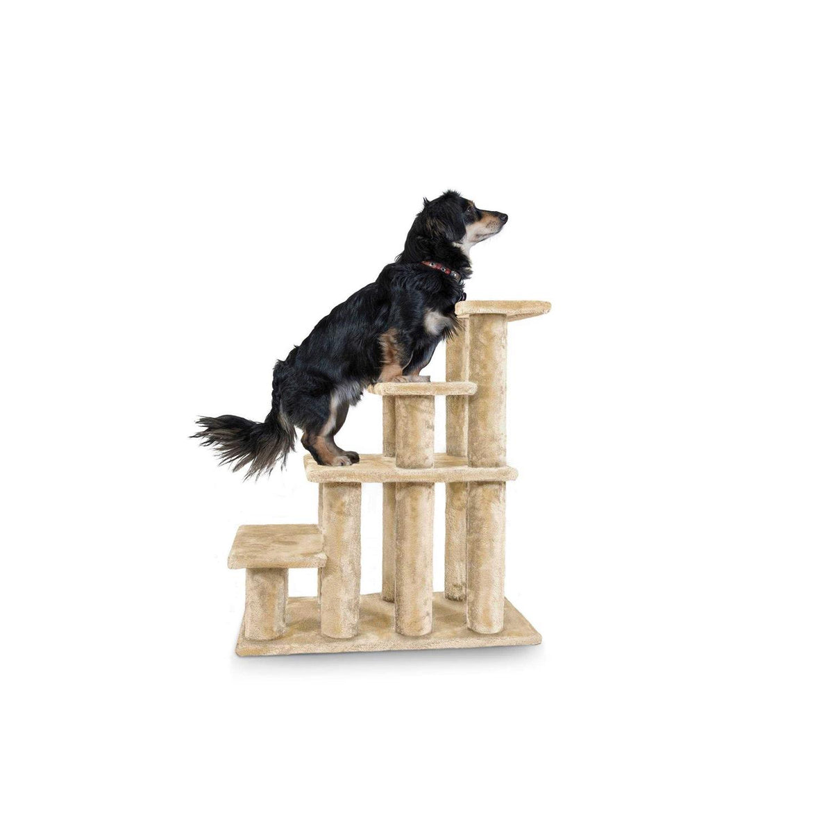 Pet Stairs R844808