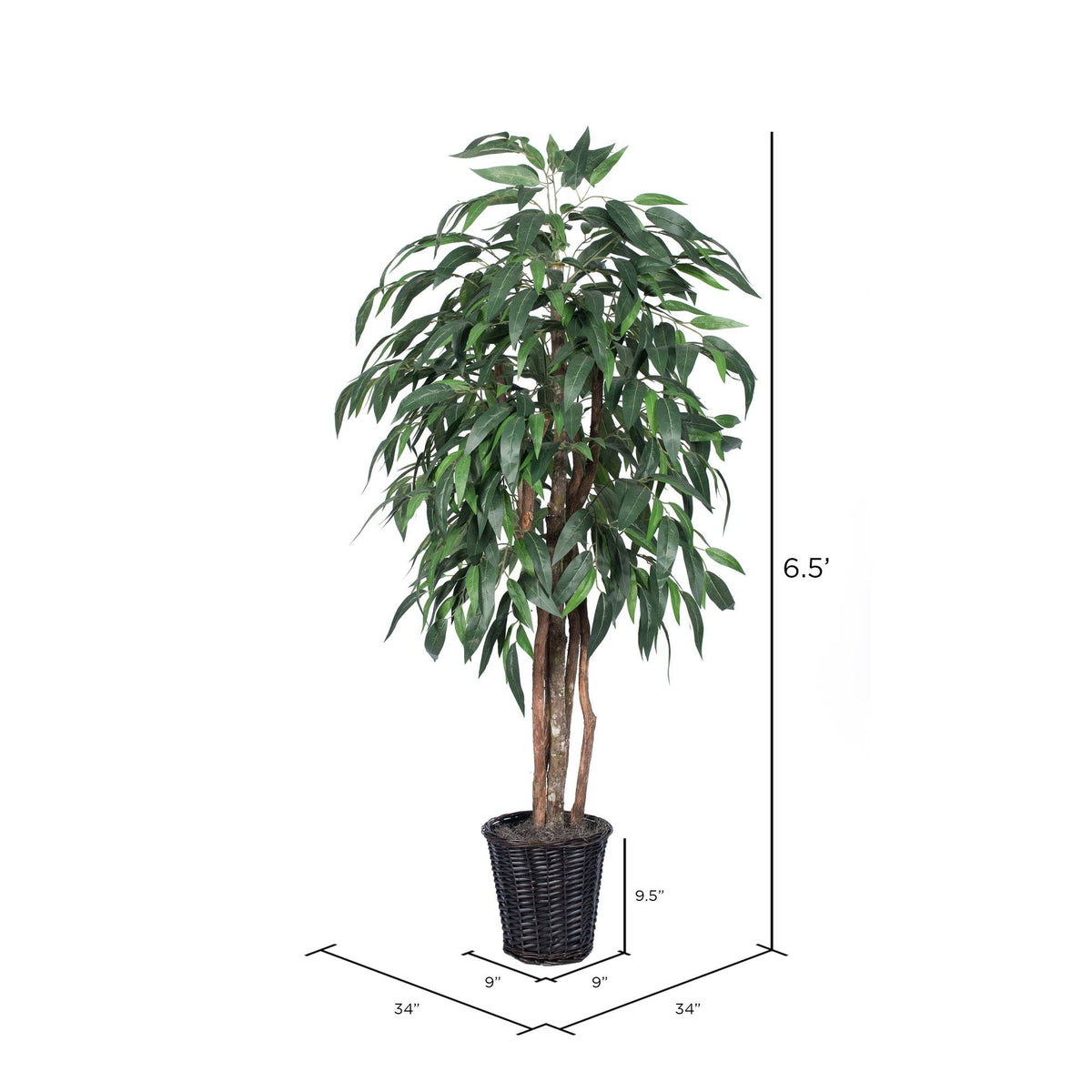 Green Mango Executive D1627