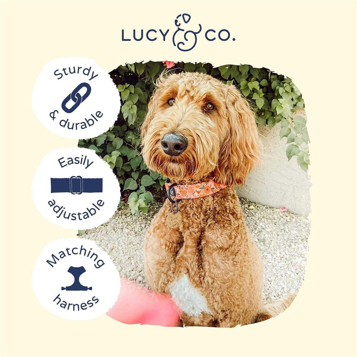 Pink Dog Collar J524